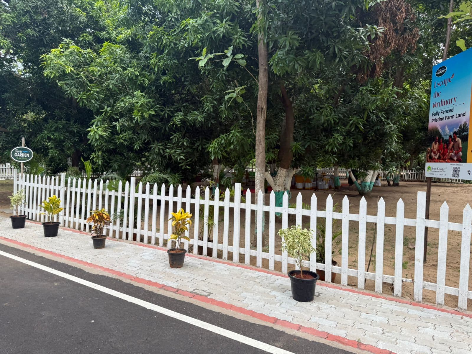 Secure your future!!! Invest in Farmland to safeguard your future/generations. - Image 5