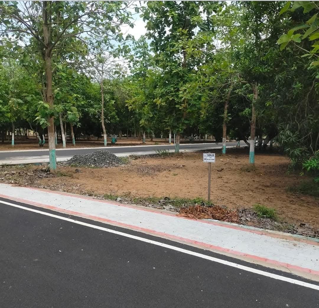 Secure your future!!! Invest in Farmland to safeguard your future/generations.