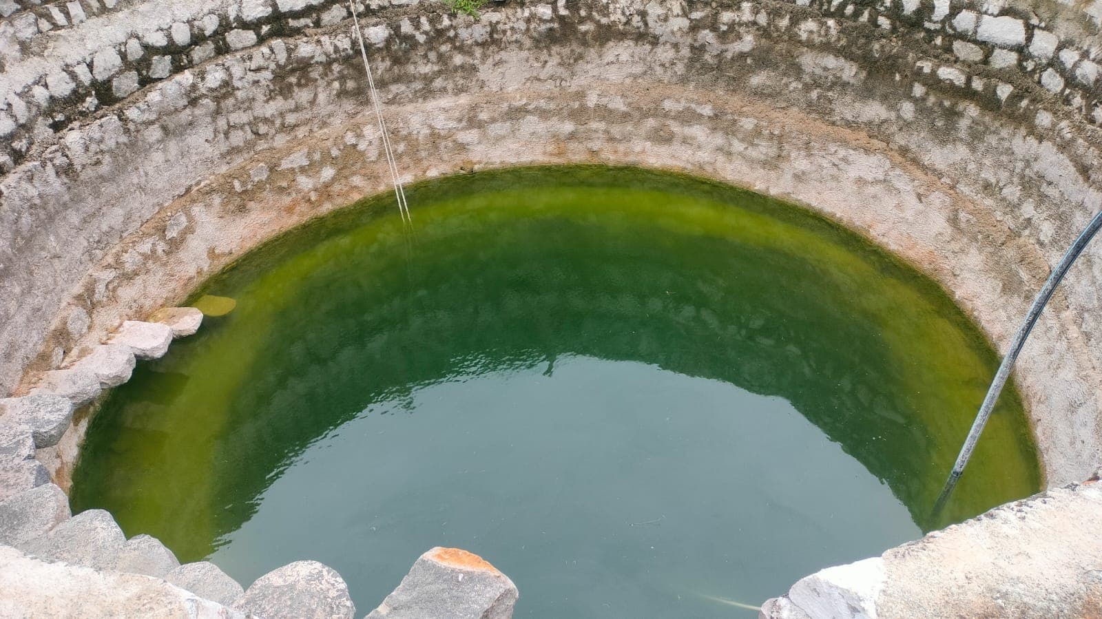 Active farm land 1.45 Acres at Nelvoyl Valathodu - Image 4